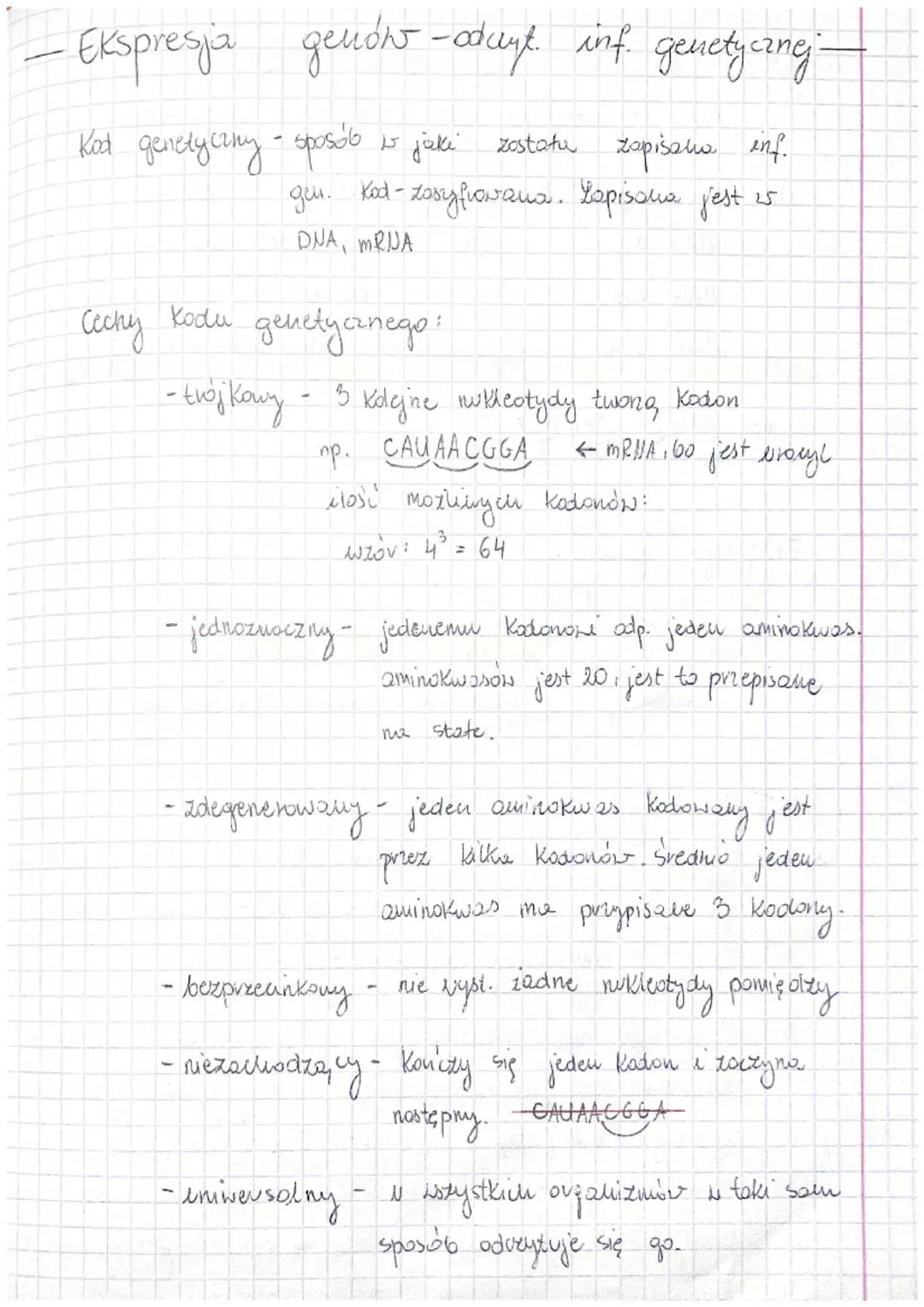 - Budowa i rola kwasów nukleinowych -

DNA-odkinto ar 1879 r., odkiyue prez J. Watson oraz
(kw.aroksynybonukleinoux & Crickom opisare strukt
