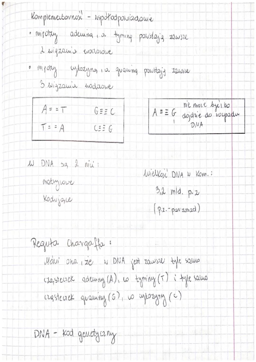 - Budowa i rola kwasów nukleinowych -

DNA-odkinto ar 1879 r., odkiyue prez J. Watson oraz
(kw.aroksynybonukleinoux & Crickom opisare strukt