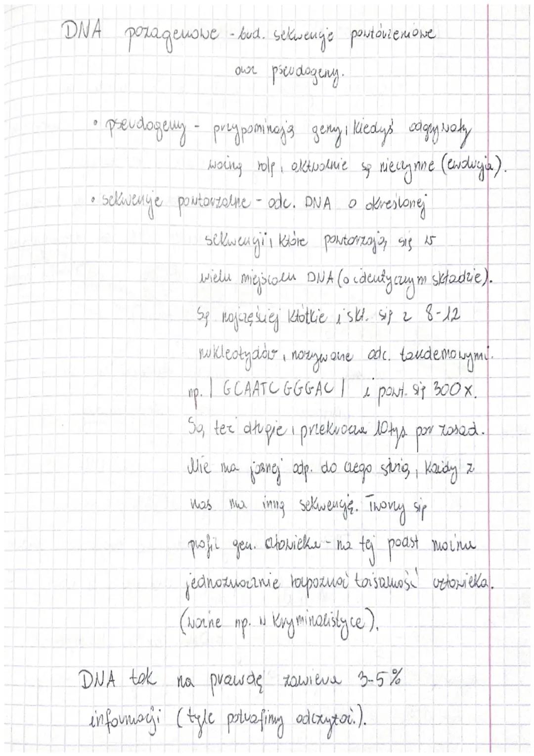 - Budowa i rola kwasów nukleinowych -

DNA-odkinto ar 1879 r., odkiyue prez J. Watson oraz
(kw.aroksynybonukleinoux & Crickom opisare strukt