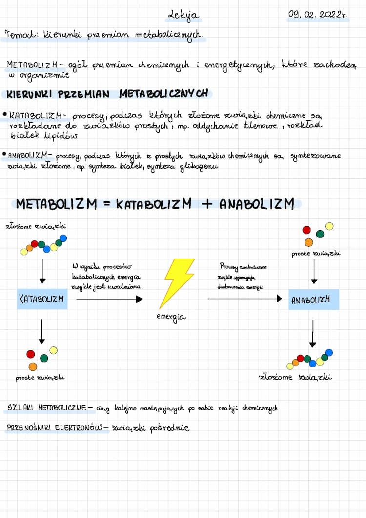 Know kierunki przemian metabolicznych thumbnail