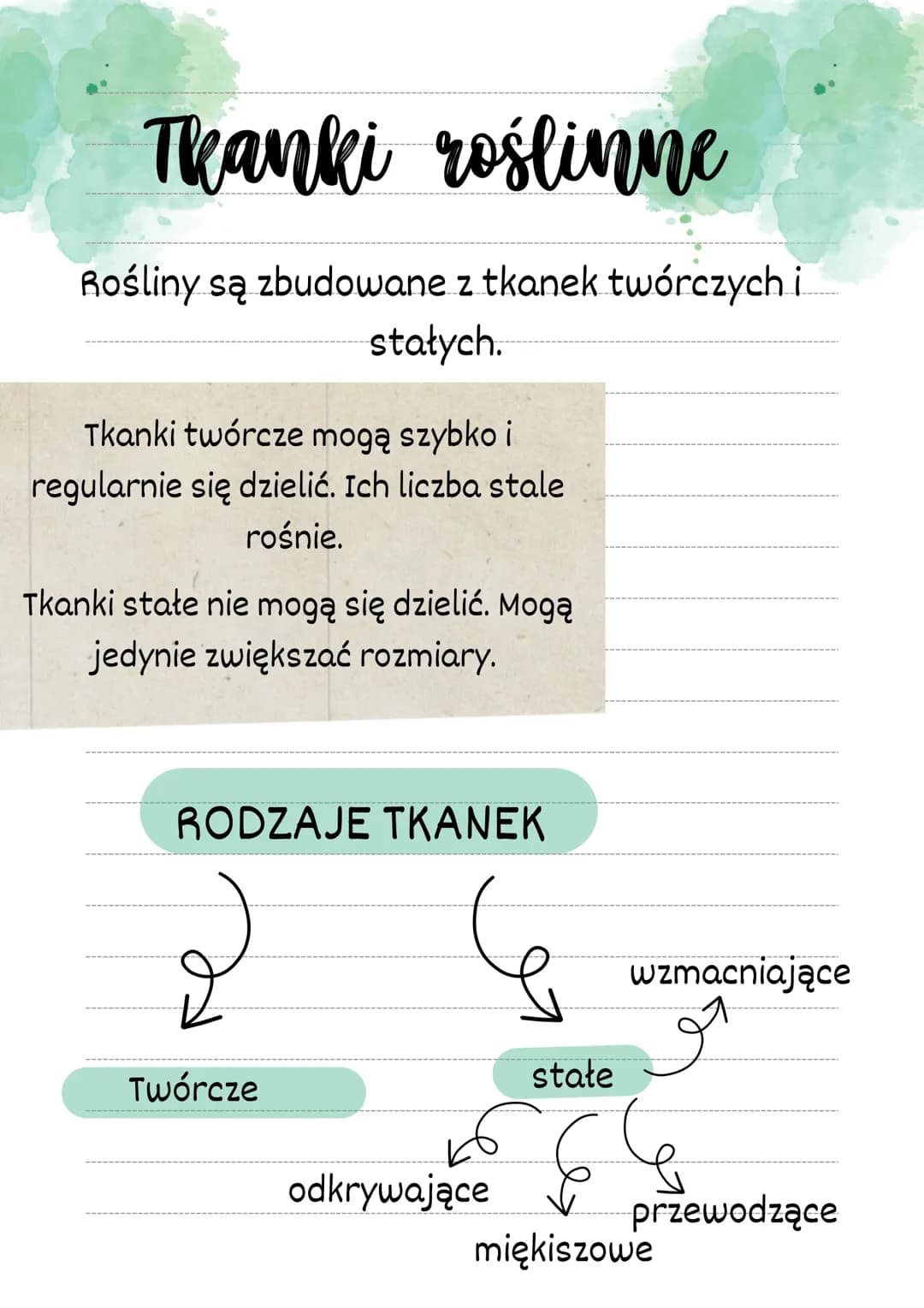 Thanki roślinne
Rośliny są zbudowane z tkanek twórczych i
stałych.
Tkanki twórcze mogą szybko i
regularnie się dzielić. Ich liczba stale
roś