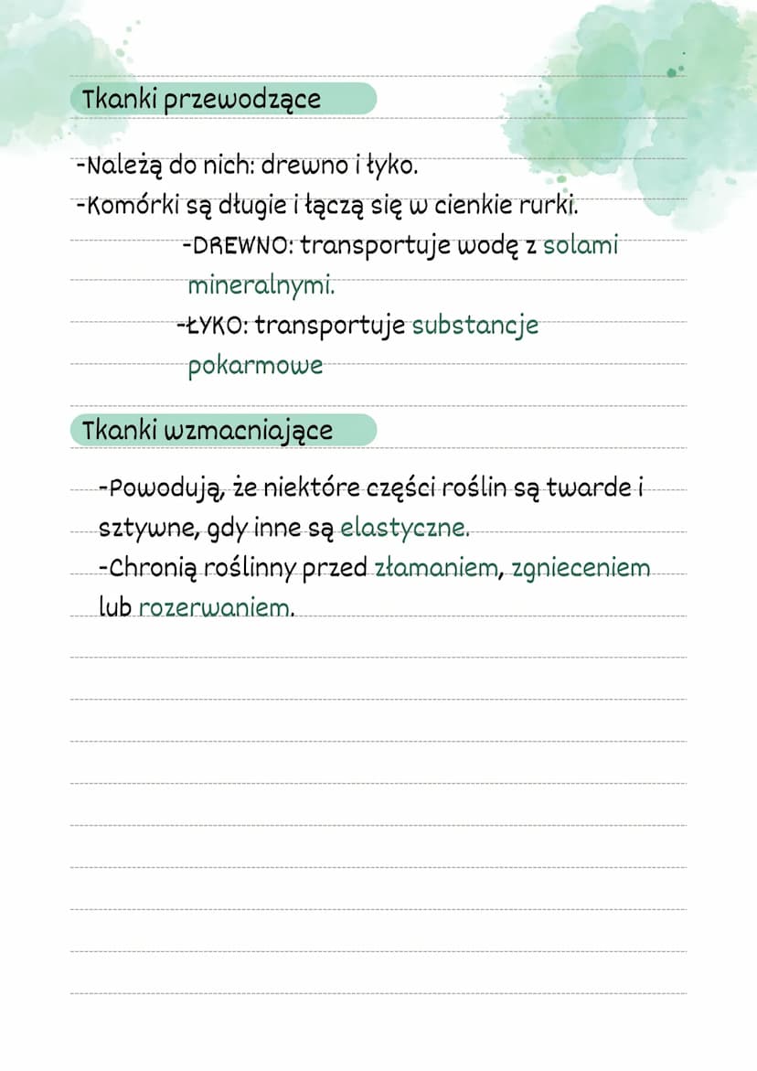 Thanki roślinne
Rośliny są zbudowane z tkanek twórczych i
stałych.
Tkanki twórcze mogą szybko i
regularnie się dzielić. Ich liczba stale
roś