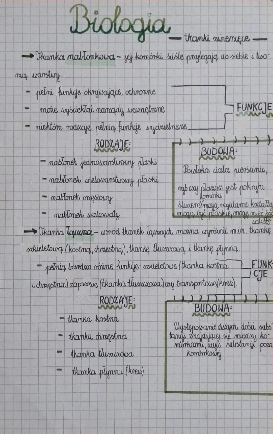 Biologia
- thanki ziemięce
→Thanka mablonkowa - jej komórki susle przylegają do siebie i two-
ma warstwy
pełni funkcje okrywające, ochronne
