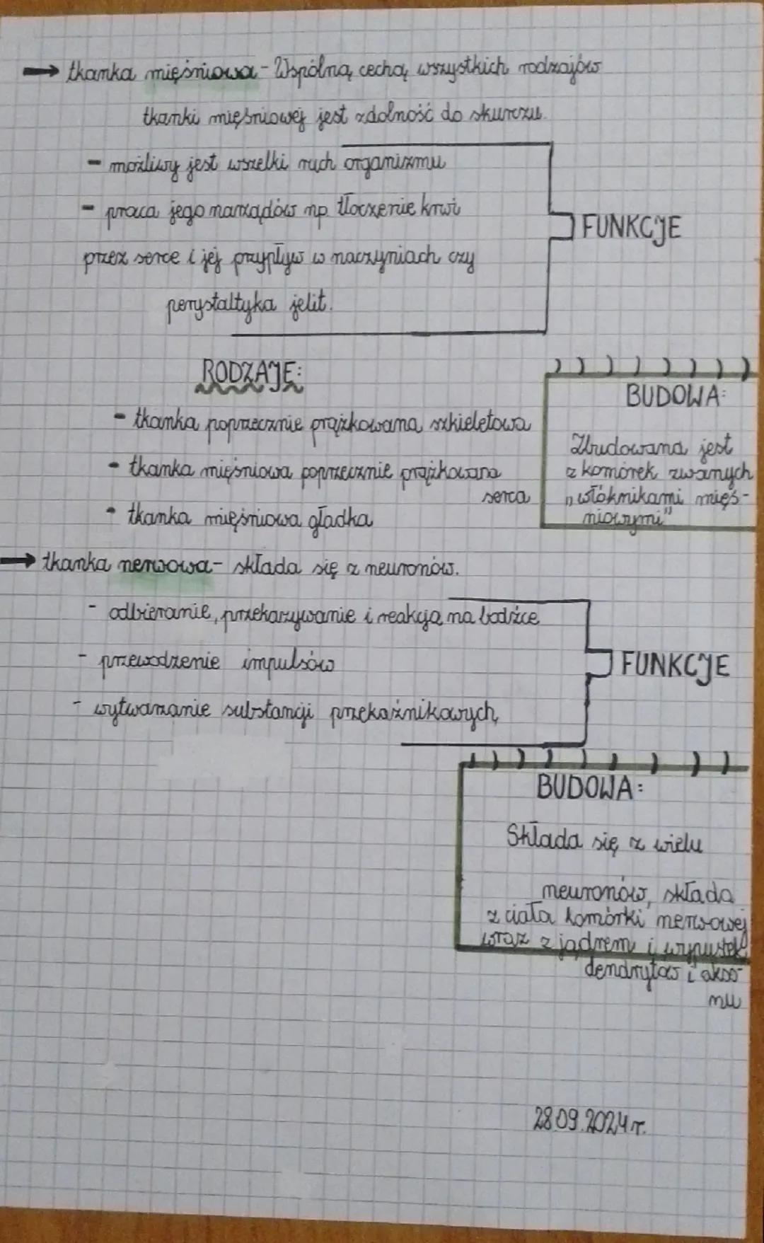 Biologia
- thanki ziemięce
→Thanka mablonkowa - jej komórki susle przylegają do siebie i two-
ma warstwy
pełni funkcje okrywające, ochronne

