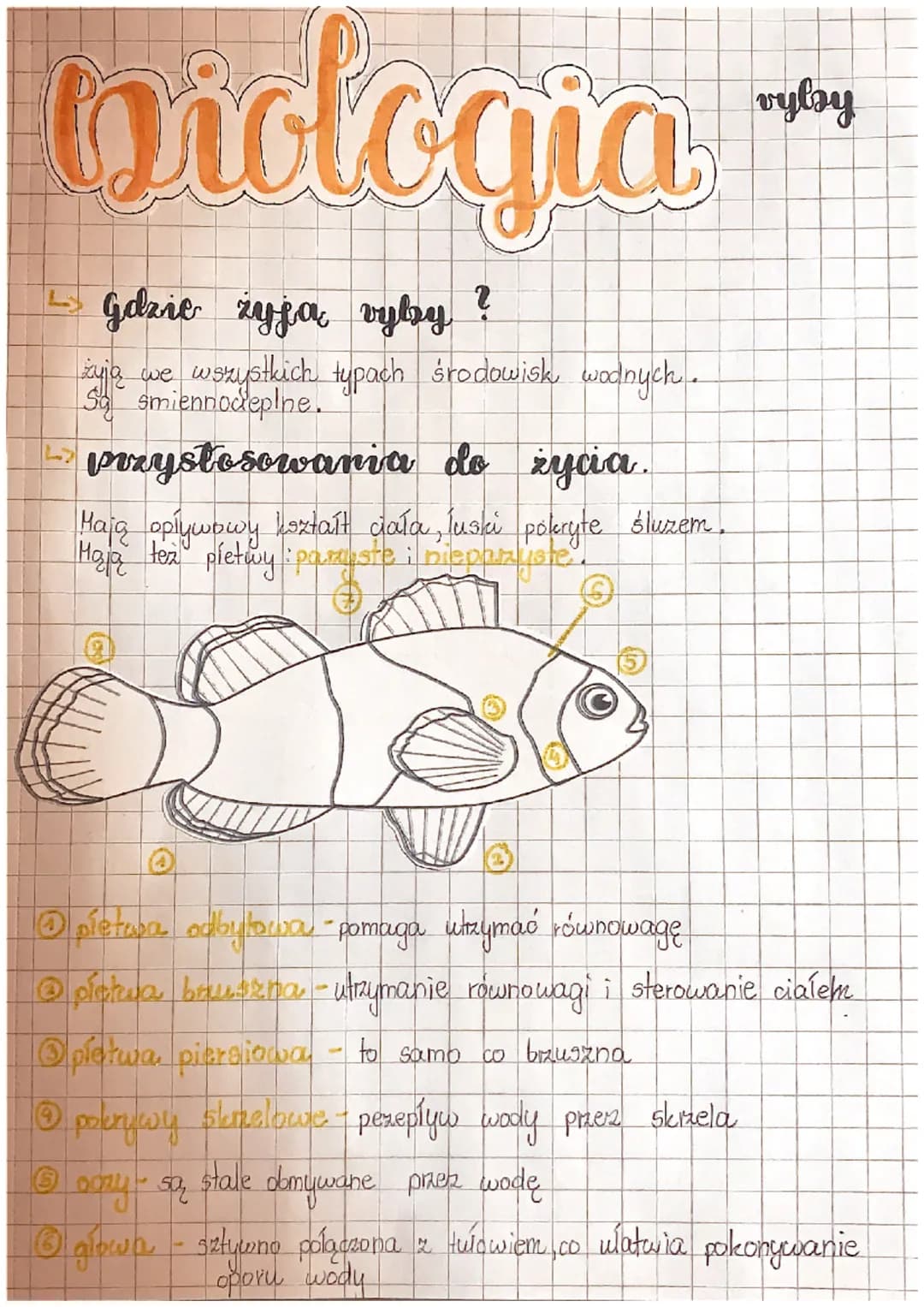 biologia
↳ Gdzie żyją vyby
?
żyją we wszystkich typach środowisk wodnych.
Sa smiennodepine.
Lprzystosowania do życia.
Mają opływowy kształt 