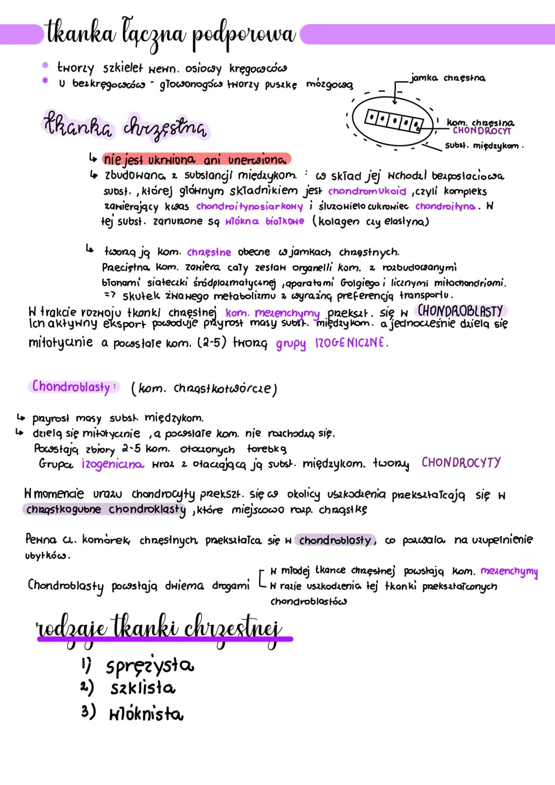 .
tkanka łączna
Wszystkie rodzaje tkanki łącznej pochodzą z tkanki łącznej zarodkowej, czyli mezenchymy
●
Charakterystyczne cechy budowy tka