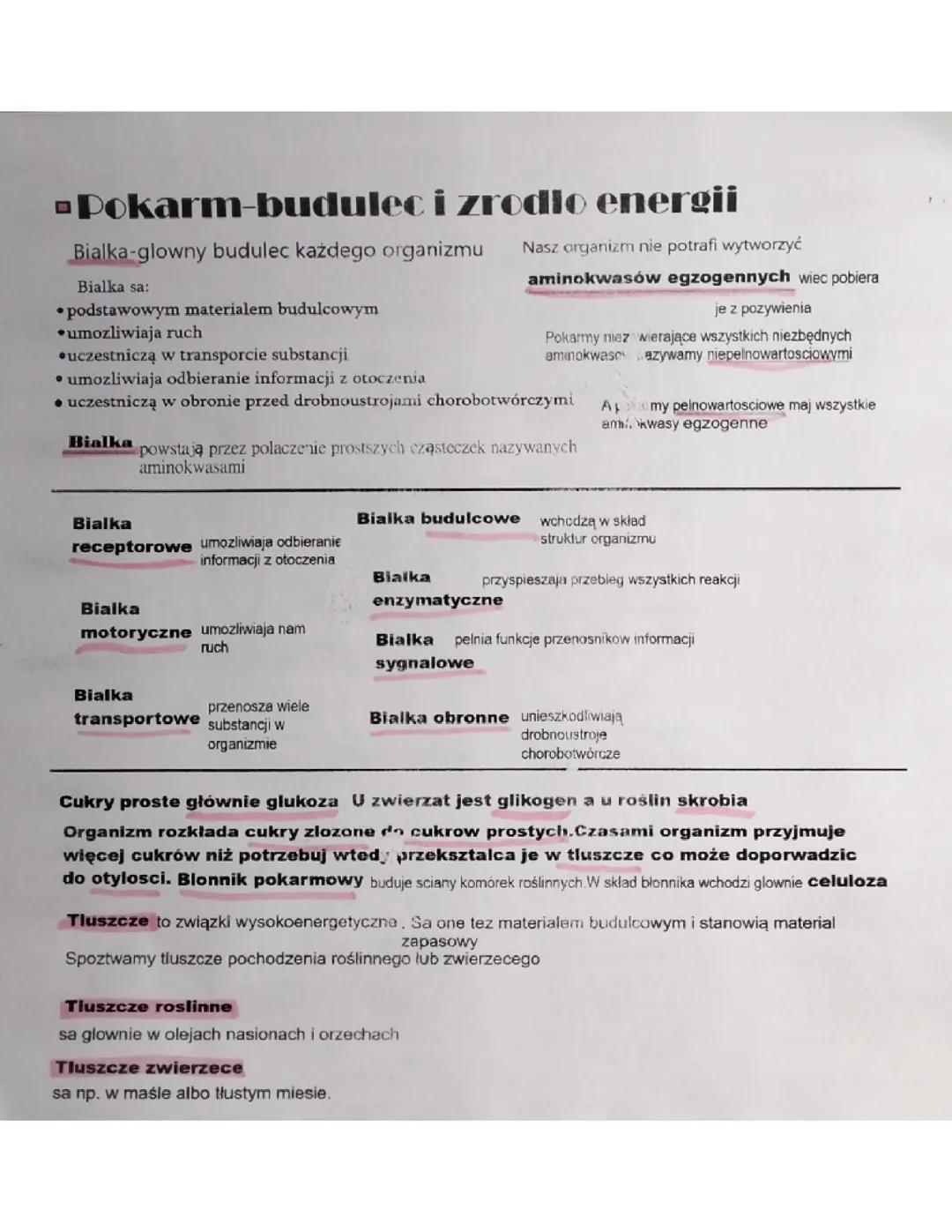 Pokarm - Budulec i Energia: Notatka do Nauki