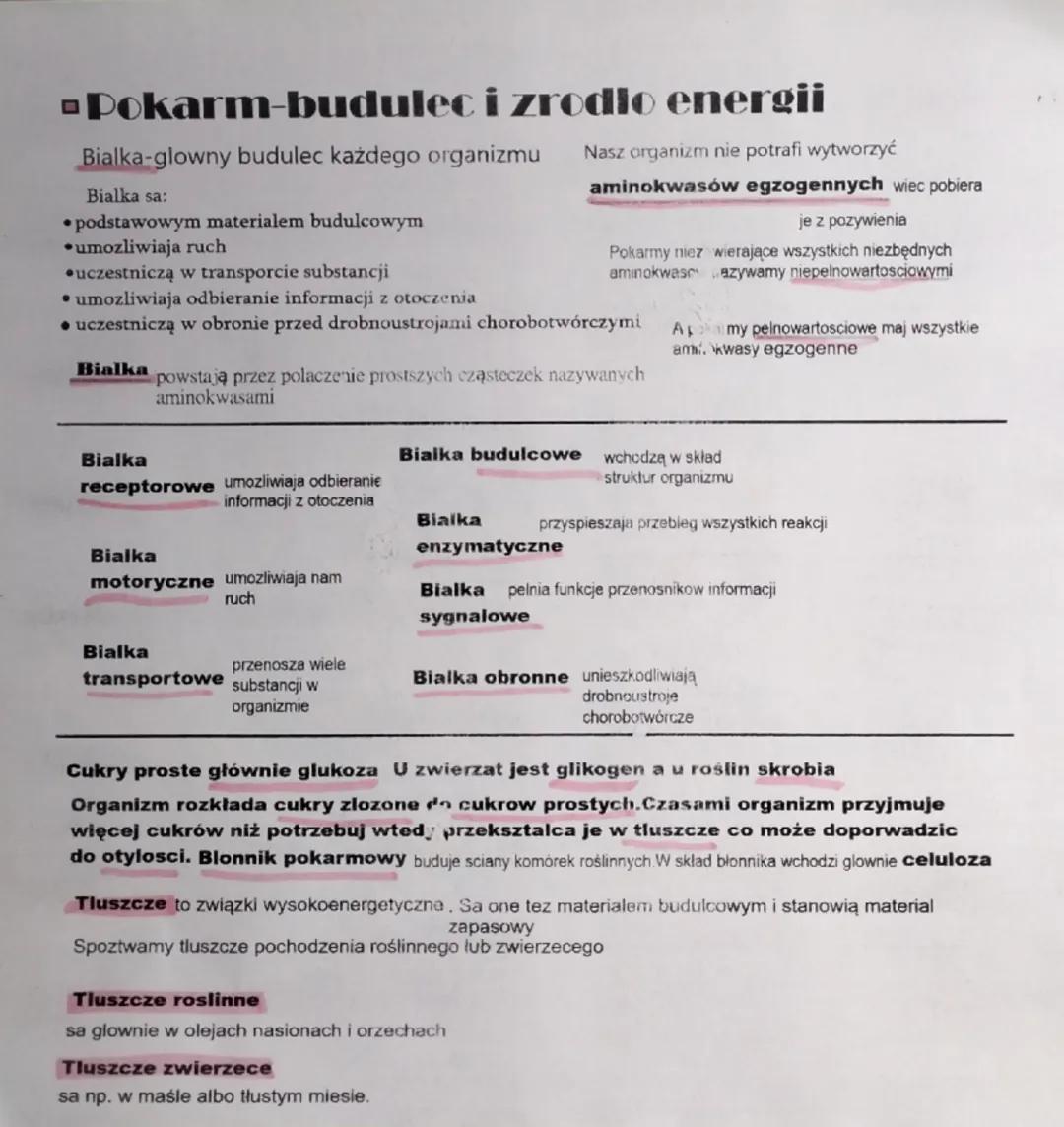 ㅁ
Pokarm-budulec i zrodło energii
Bialka-glowny budulec każdego organizmu Nasz organizm nie potrafi wytworzyć
Bialka sa:
⚫podstawowym materi