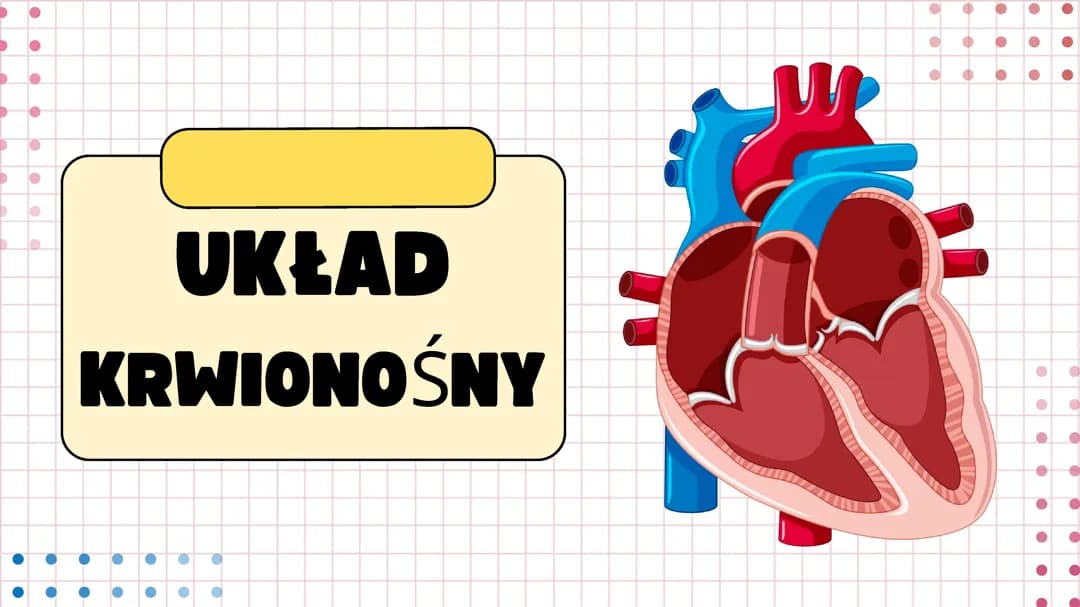 Układ krwionośny