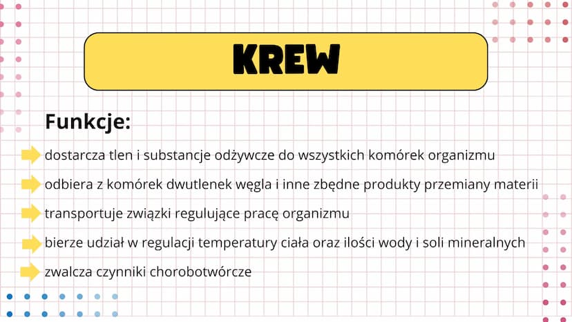 # UKŁAD

# KRWIONOŚNY Serce wtłacza krew do dwóch oddzielnych
układów- krążenia płucnego i krążenia
układowego. Prawa strona serca wtłacza k