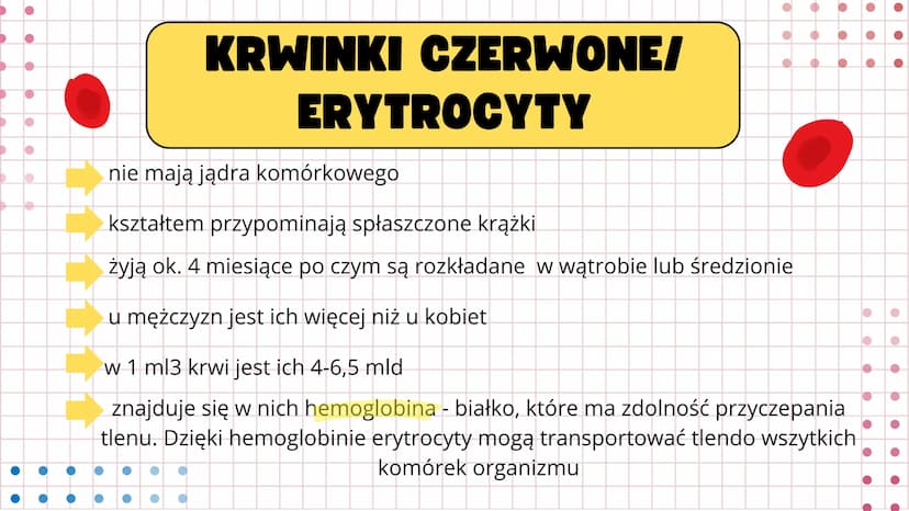 # UKŁAD

# KRWIONOŚNY Serce wtłacza krew do dwóch oddzielnych
układów- krążenia płucnego i krążenia
układowego. Prawa strona serca wtłacza k