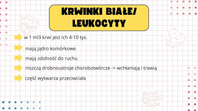 # UKŁAD

# KRWIONOŚNY Serce wtłacza krew do dwóch oddzielnych
układów- krążenia płucnego i krążenia
układowego. Prawa strona serca wtłacza k