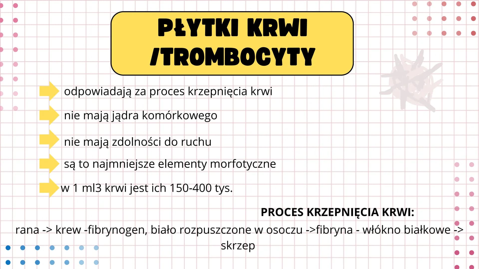 # UKŁAD

# KRWIONOŚNY Serce wtłacza krew do dwóch oddzielnych
układów- krążenia płucnego i krążenia
układowego. Prawa strona serca wtłacza k