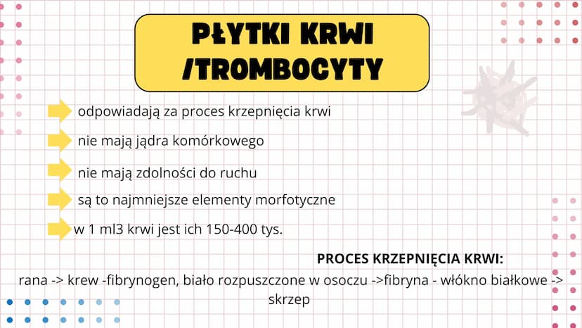 # UKŁAD

# KRWIONOŚNY Serce wtłacza krew do dwóch oddzielnych
układów- krążenia płucnego i krążenia
układowego. Prawa strona serca wtłacza k