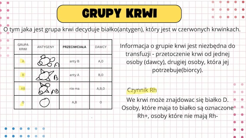 # UKŁAD

# KRWIONOŚNY Serce wtłacza krew do dwóch oddzielnych
układów- krążenia płucnego i krążenia
układowego. Prawa strona serca wtłacza k