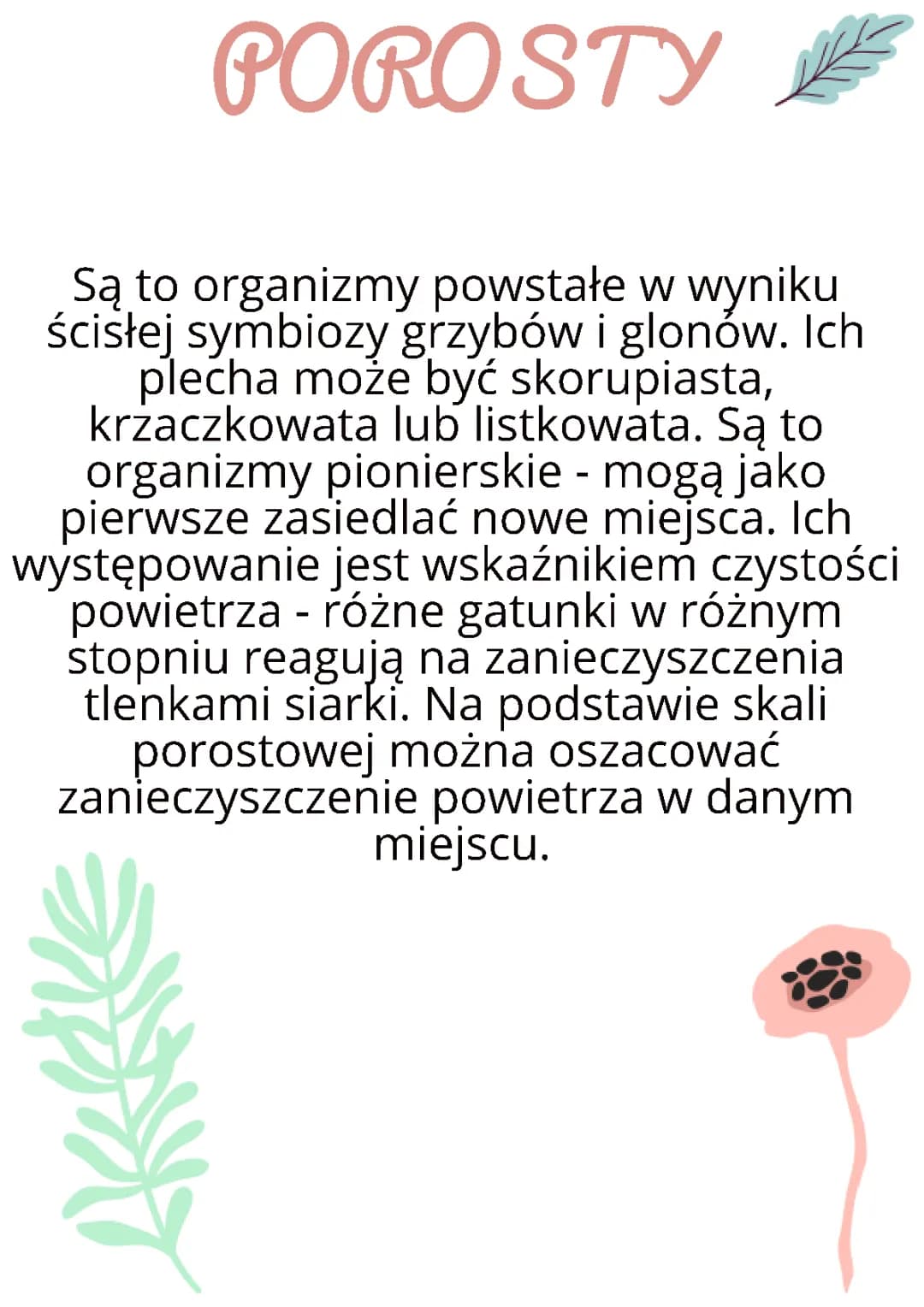 Porosty: Budowa, Skala Porostowa i Czy Są Cudzożywne?