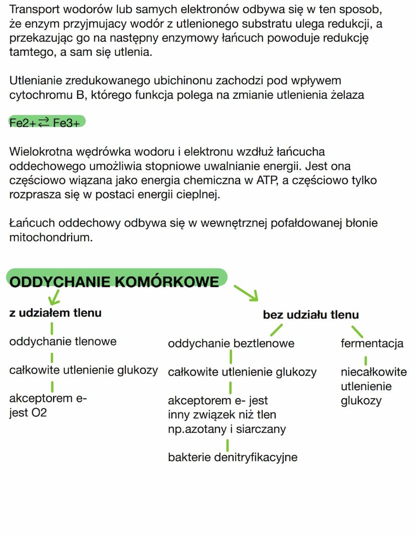 Etapy oddychania tlenowego
Iglikoliza
glukoza
2/4²
ADP+ Pi
АТР
fosfolyracja
substratowa
C6H12O6 + 602
substrat
NAD +
2X pirogronian
wysokoen