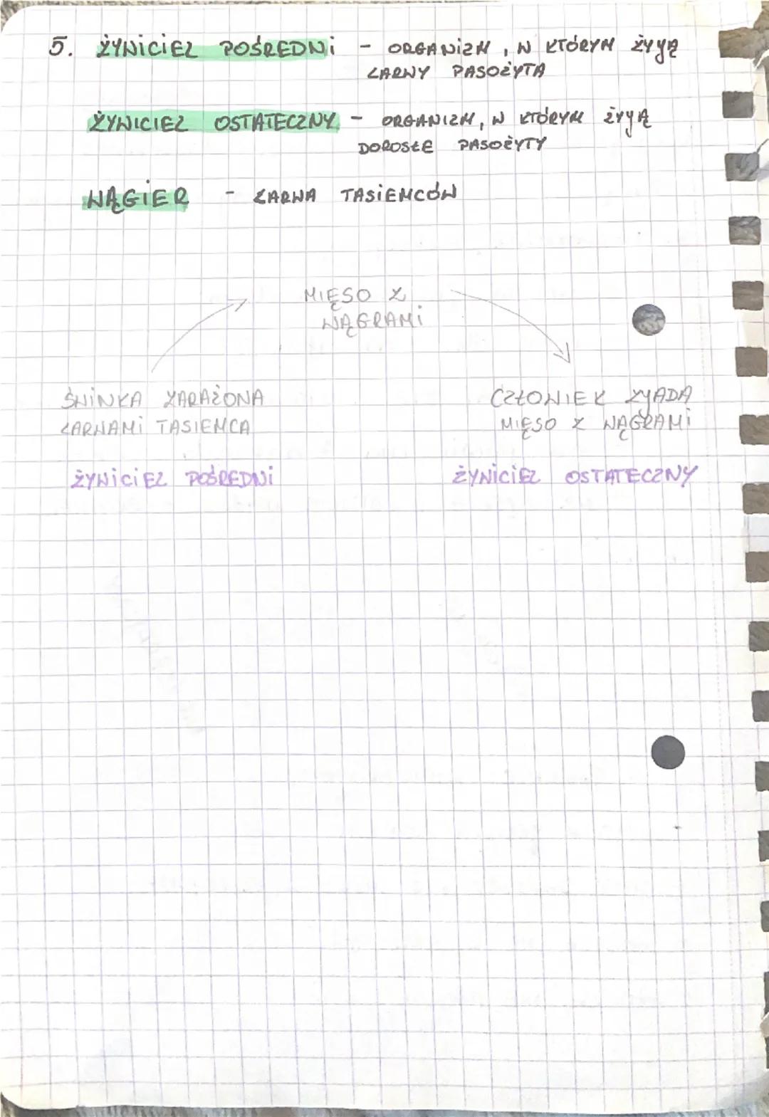 PARZYDEŁKONCE
1 żyją
tylko w
środowisku wodnym.
OSIADEY
SNOBODNIE REYNAYACY
2 Polip i meduza to dwie,
postacie
parzydeł kowców.
3 Dvapieżnik