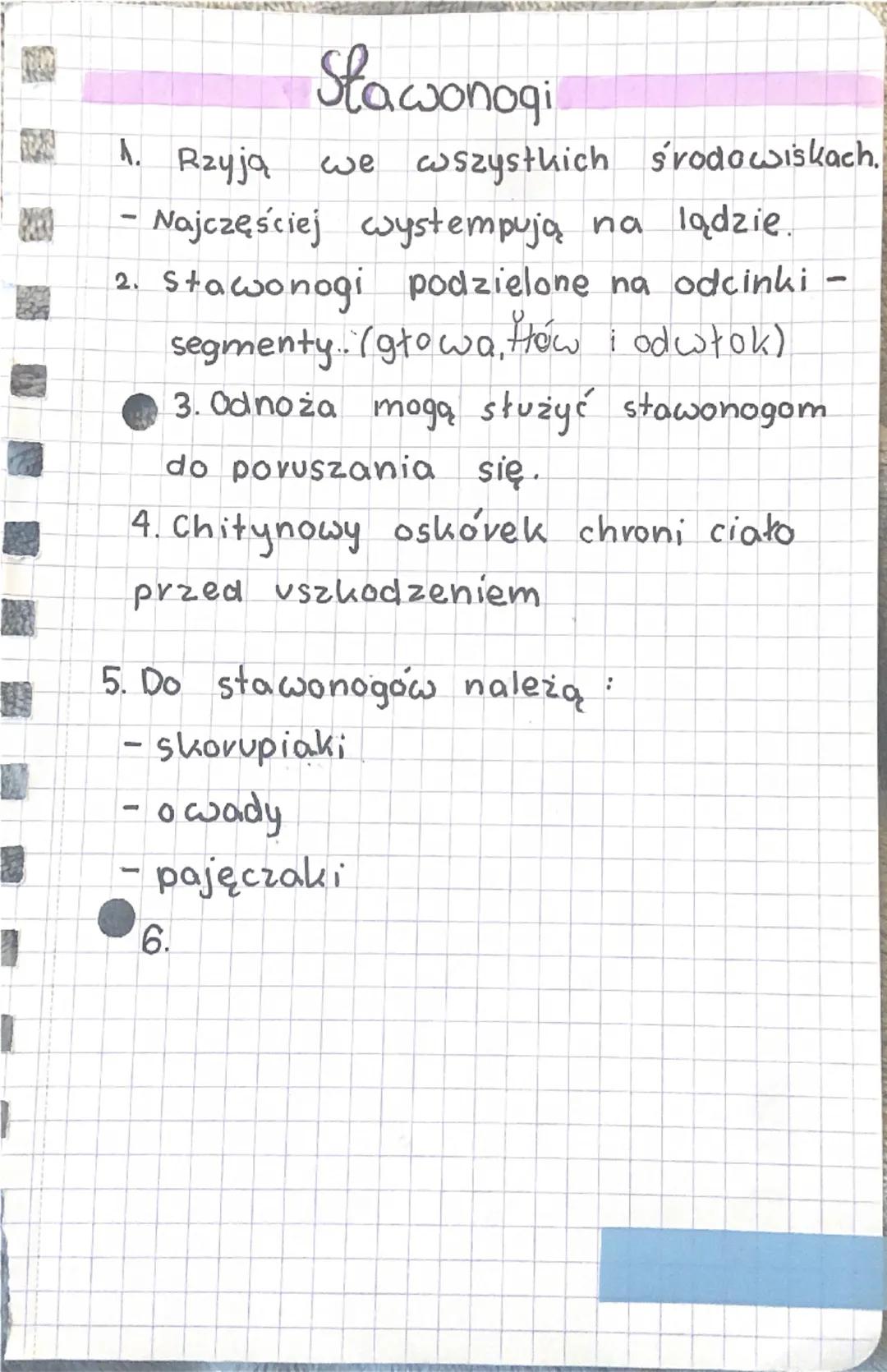 PARZYDEŁKONCE
1 żyją
tylko w
środowisku wodnym.
OSIADEY
SNOBODNIE REYNAYACY
2 Polip i meduza to dwie,
postacie
parzydeł kowców.
3 Dvapieżnik