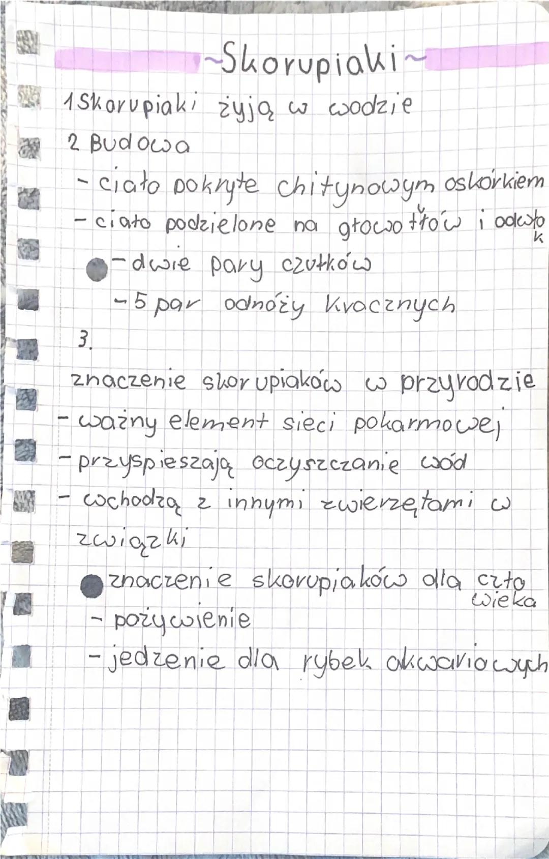 PARZYDEŁKONCE
1 żyją
tylko w
środowisku wodnym.
OSIADEY
SNOBODNIE REYNAYACY
2 Polip i meduza to dwie,
postacie
parzydeł kowców.
3 Dvapieżnik