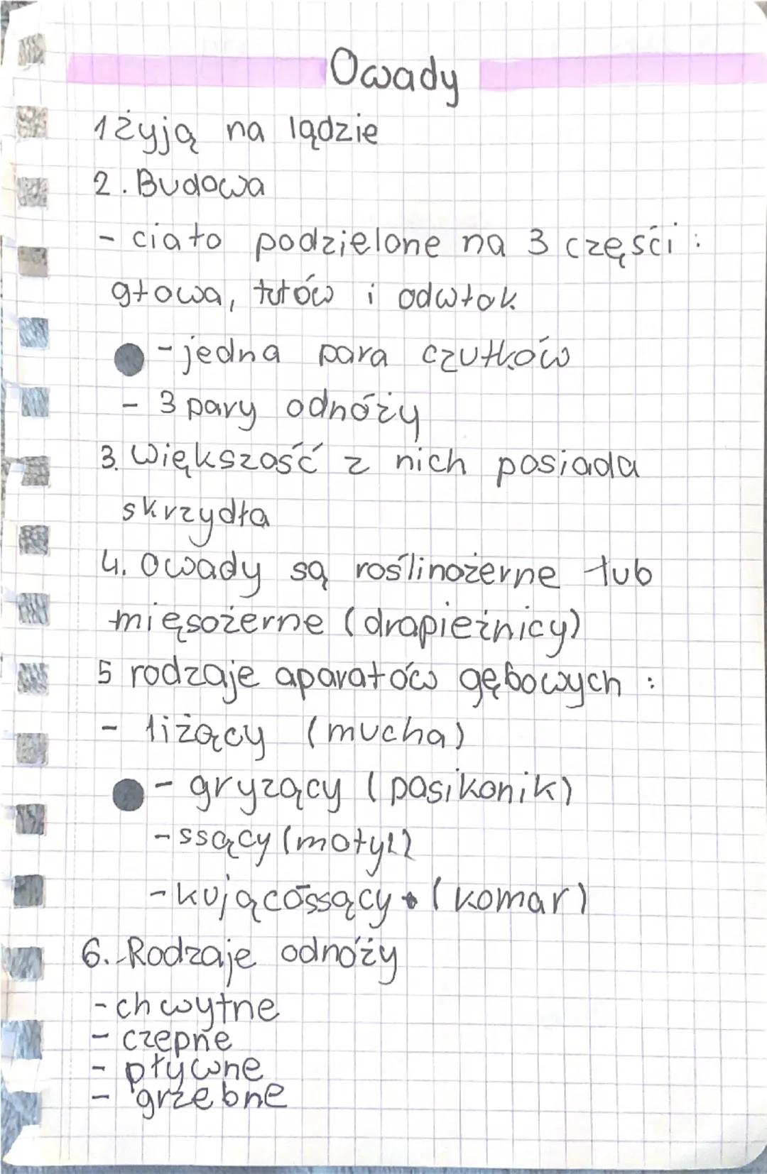 PARZYDEŁKONCE
1 żyją
tylko w
środowisku wodnym.
OSIADEY
SNOBODNIE REYNAYACY
2 Polip i meduza to dwie,
postacie
parzydeł kowców.
3 Dvapieżnik