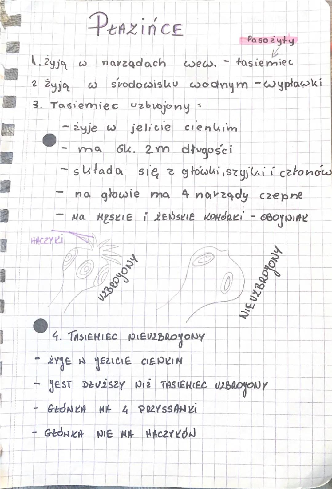 PARZYDEŁKONCE
1 żyją
tylko w
środowisku wodnym.
OSIADEY
SNOBODNIE REYNAYACY
2 Polip i meduza to dwie,
postacie
parzydeł kowców.
3 Dvapieżnik