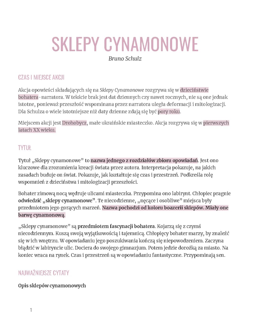 Sklepy Cynamonowe - streszczenie i bohaterowie | Opis wydarzeń, motywy i oniryzm
