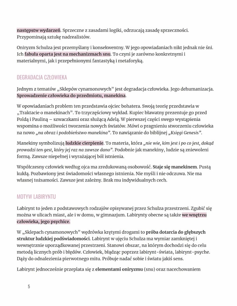 SKLEPY CYNAMONOWE
CZAS I MIEJSCE AKCJI
Akcja opowieści składających się na Sklepy Cynamonowe rozgrywa się w dzieciństwie
bohatera-narratora.