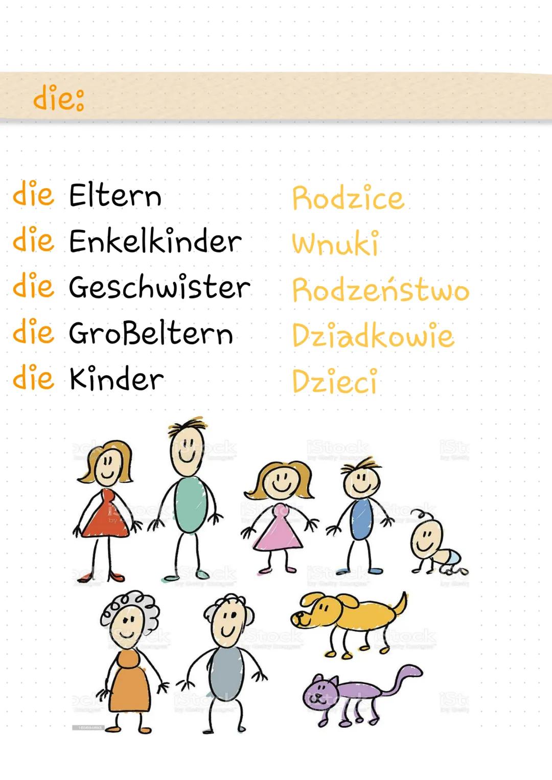 der:
Członkowie Rodziny
der Bruder
der Cousin
der Enkel
der Großvater
der Mann
der Onkel
der Sohn
der Vater
Brat
Kuzyn
Wnuczek
dziadek
Mąż/M