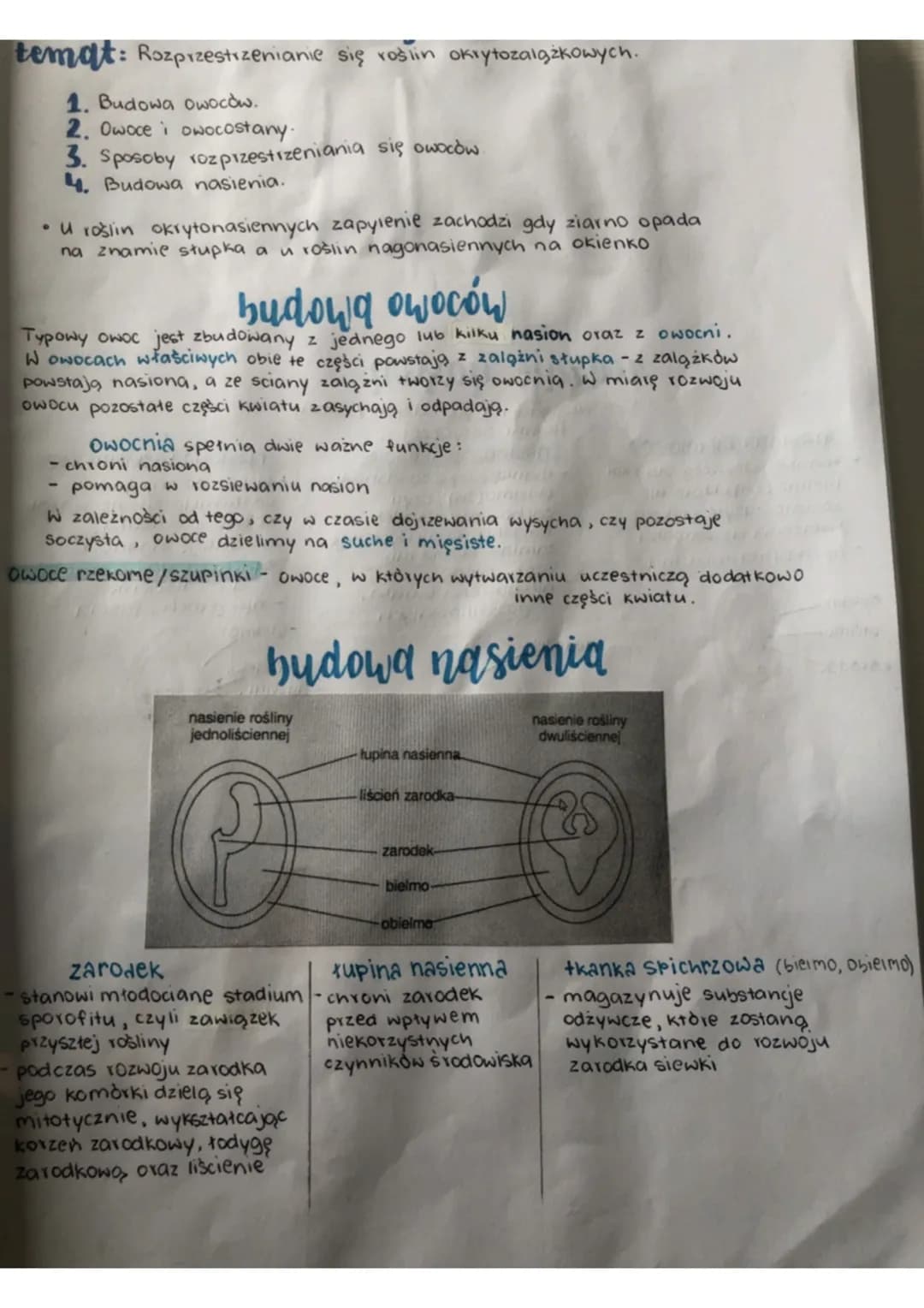 temat: Rozprzestrzenianie się roślin okrytozalążkowych.
1. Budowa owoców.
2. Owoce i owocostany.
3. Sposoby rozprzestrzeniania się owoców.
4