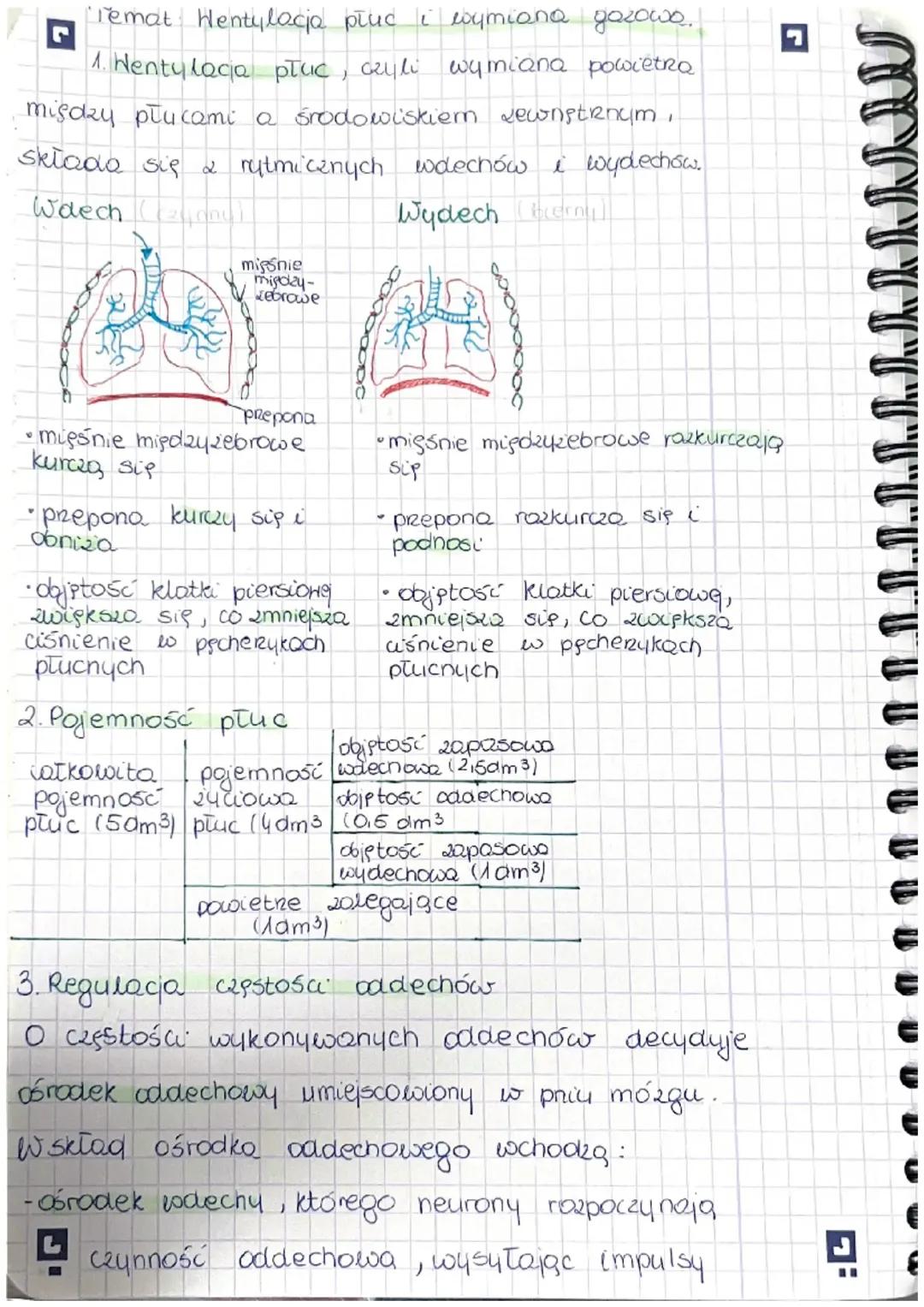 Proces Wentylacji Płuc i Wymiana Gazowa Ciała
