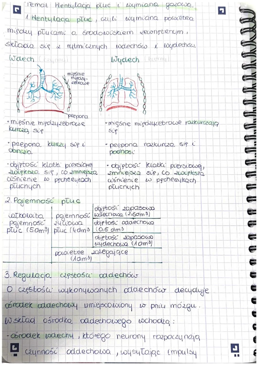 Temat: Wentylacja płuc i wymiana gazowo.
1. Wentylacja płuc, czyli wymiana powietra
między płucami a środowiskiem Lewnstrnum,
składa się 2 r
