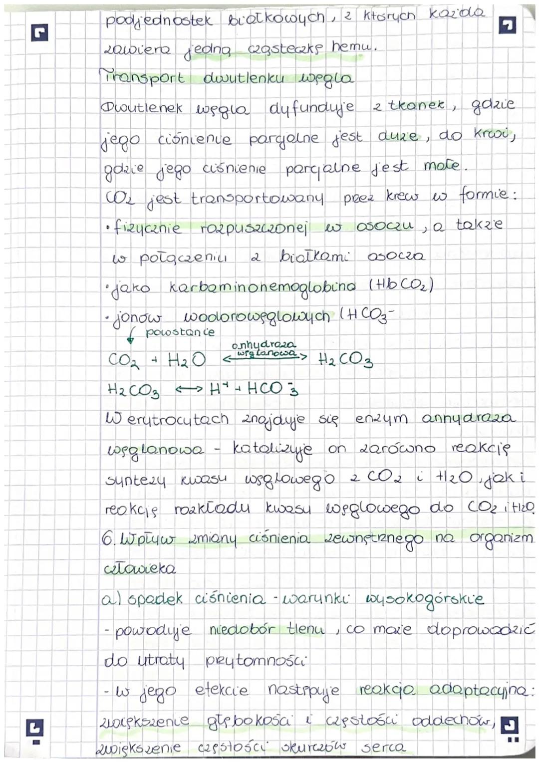 Temat: Wentylacja płuc i wymiana gazowo.
1. Wentylacja płuc, czyli wymiana powietra
między płucami a środowiskiem Lewnstrnum,
składa się 2 r