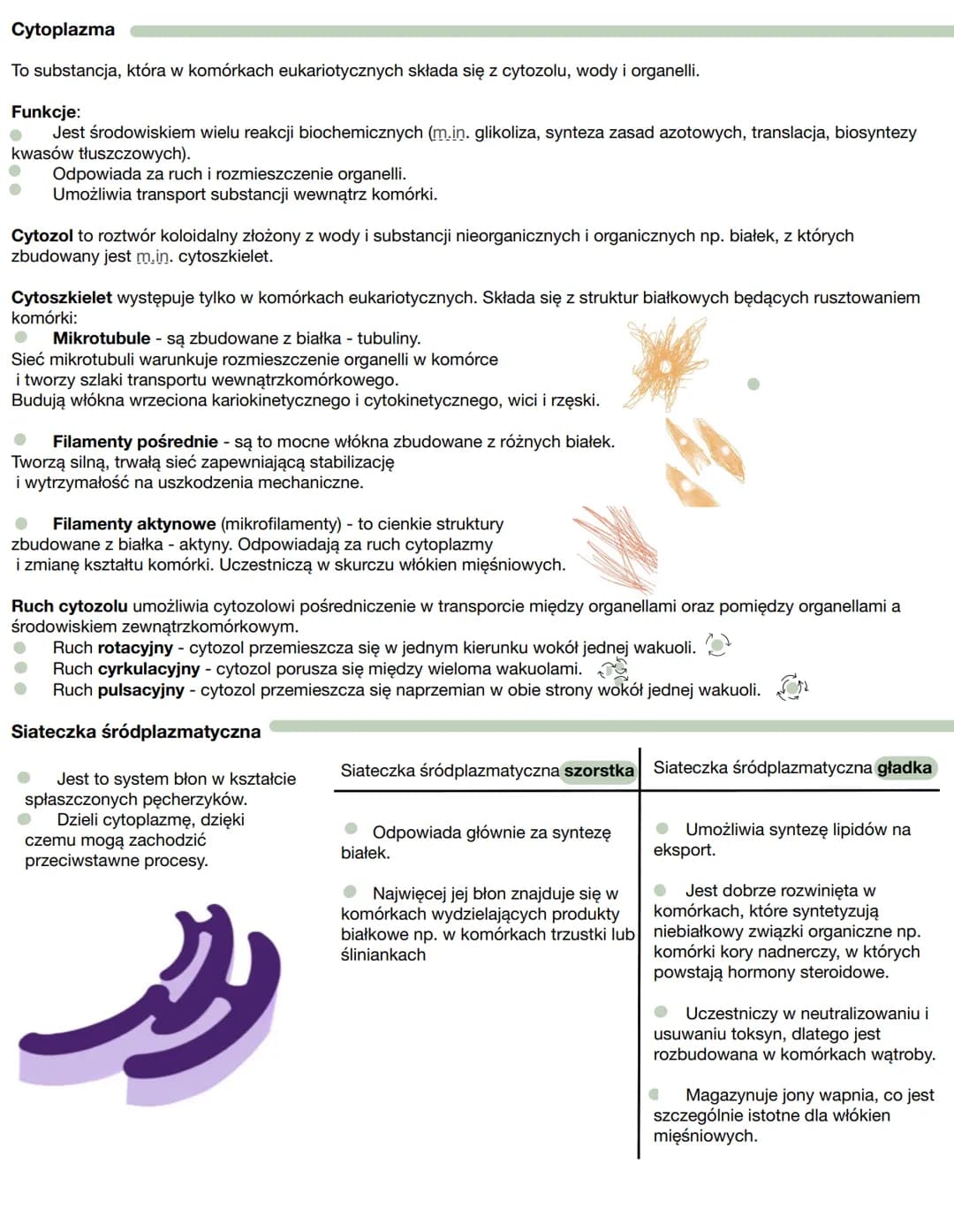 Stosunek powierzchni do objętości
Im większy rozmiar komórki, tym mniejszy stosunek powierzchni do objętości, który z powodu dłuższej drogi
