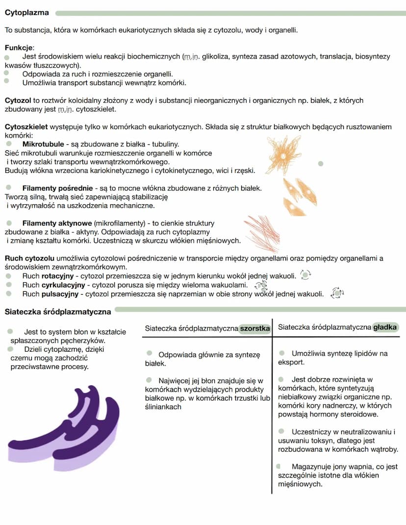 Stosunek powierzchni do objętości
Im większy rozmiar komórki, tym mniejszy stosunek powierzchni do objętości, który z powodu dłuższej drogi
