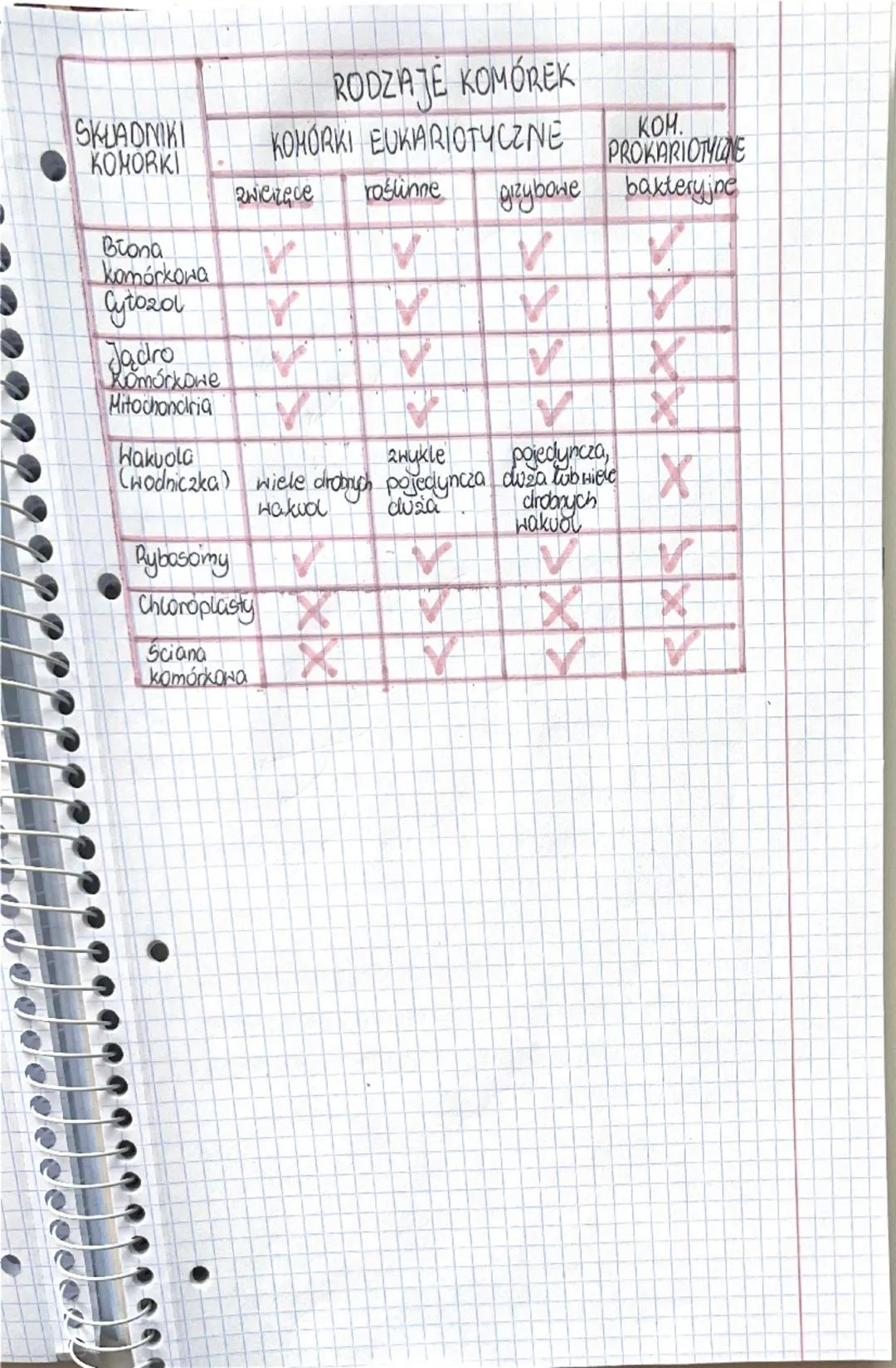 KOMÓRKI PROKARIOTYCZNE
KOMÓRKI BAKTERYJNE
• otoczone sztywną ścianą komórkową.
nktóre na powierzchni ściany komórkowej mają błonę zewnętrzną