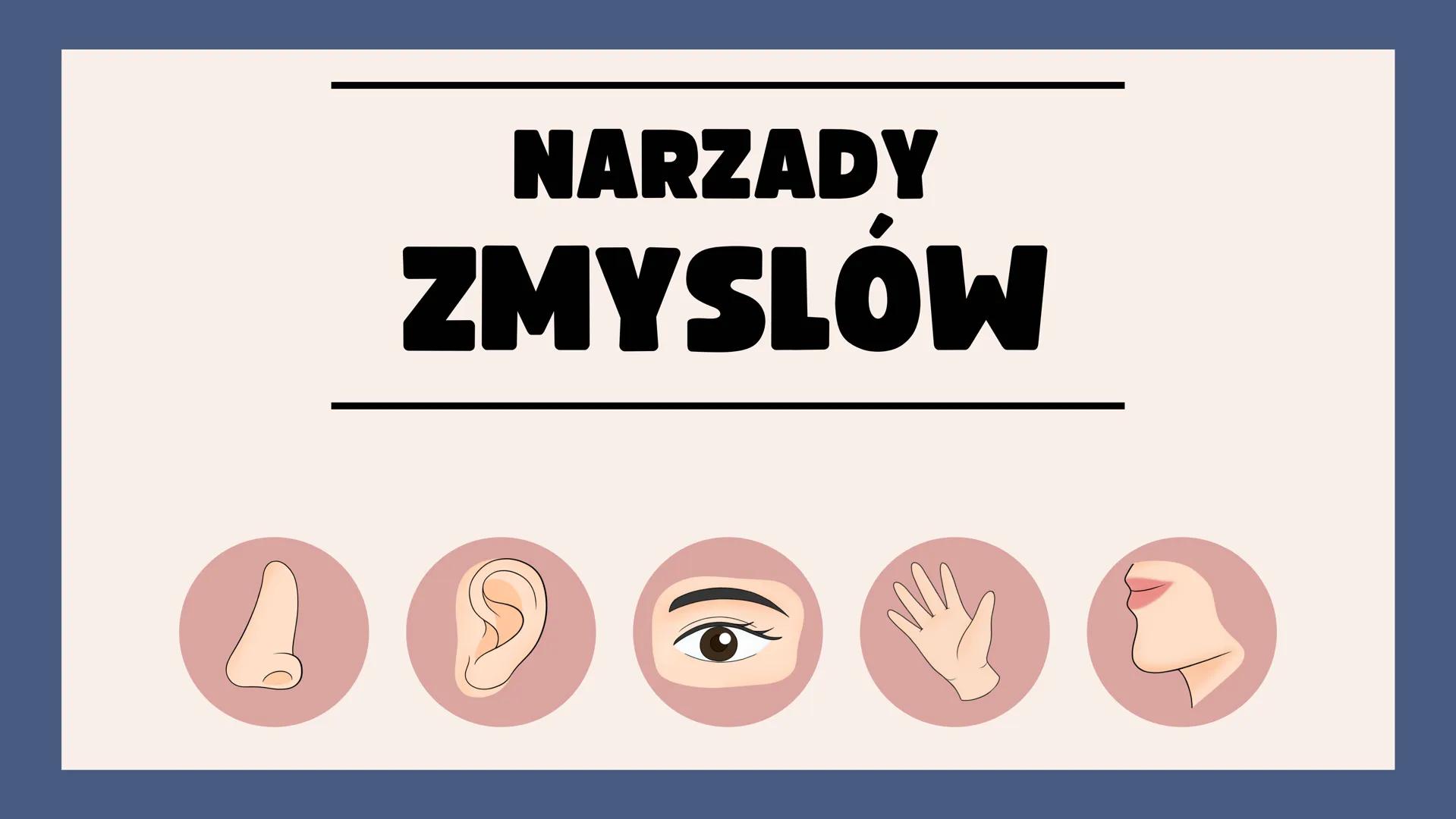# NARZĄDY

# ZMYSŁÓW # NARZĄD WZROKU

OKO

<div align="left">
Aparat ochronny oka
- Powieczki
- Brwi
- Rzęsy
- Gruczoły łzowe
- Kości czaszk