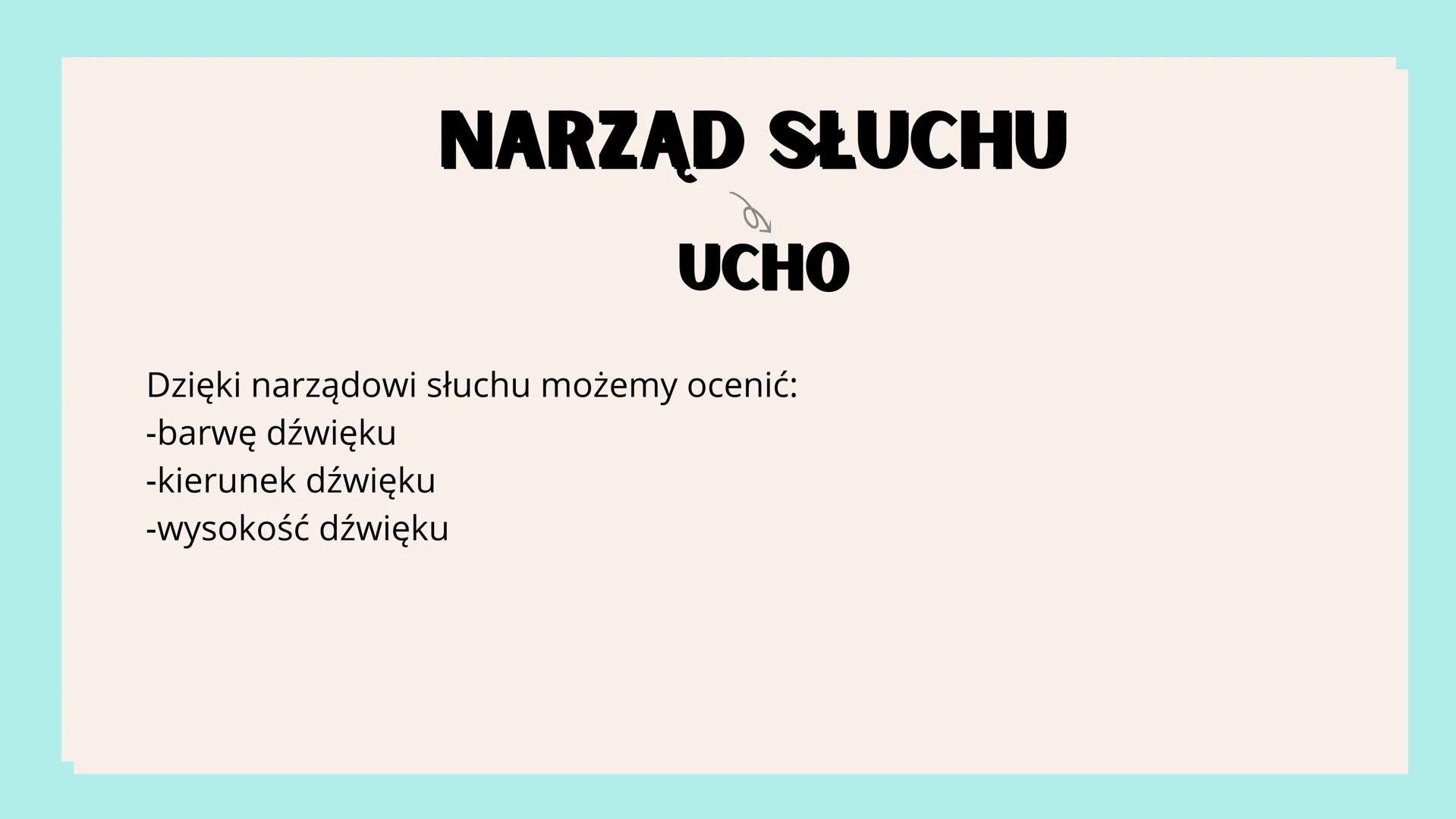 # NARZĄDY

# ZMYSŁÓW # NARZĄD WZROKU

OKO

<div align="left">
Aparat ochronny oka
- Powieczki
- Brwi
- Rzęsy
- Gruczoły łzowe
- Kości czaszk