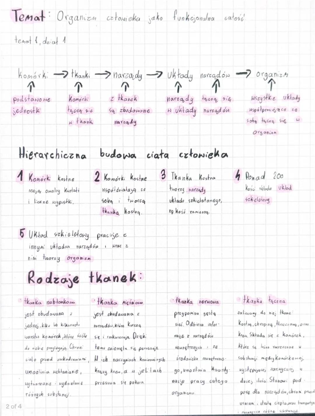 Temat: Organizm człowieka jako funkcjonalna całość
temat 1, dział 1
komórki → tkanki → narządy → Układy narządów → organizm
↓
↑
↑
↑
↑
Podsta