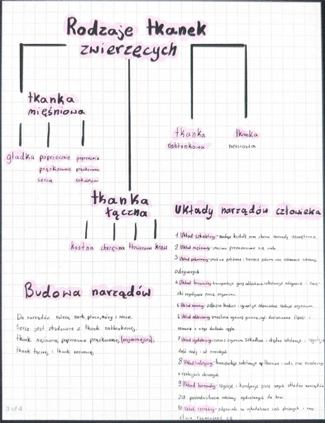 Temat: Organizm człowieka jako funkcjonalna całość
temat 1, dział 1
komórki → tkanki → narządy → Układy narządów → organizm
↓
↑
↑
↑
↑
Podsta