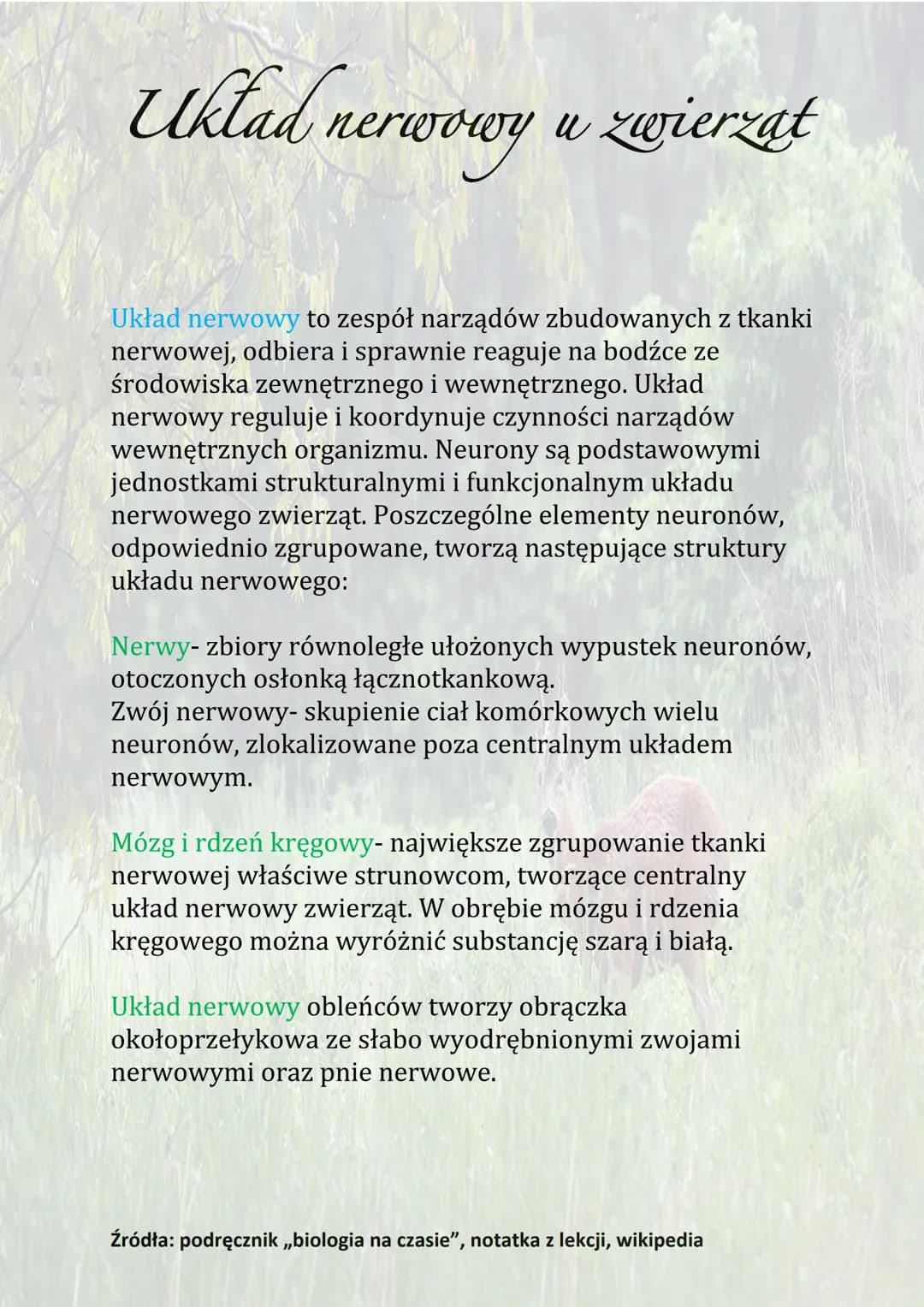Układ nerwowy u zwierzat
Układ nerwowy to zespół narządów zbudowanych z tkanki
nerwowej, odbiera i sprawnie reaguje na bodźce ze
środowiska 