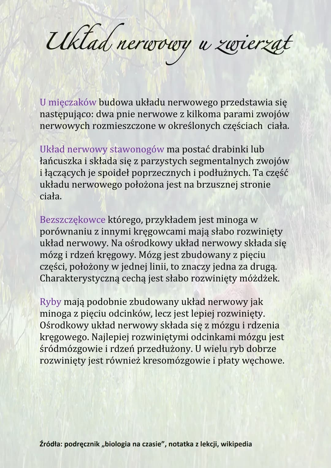Układ nerwowy u zwierzat
Układ nerwowy to zespół narządów zbudowanych z tkanki
nerwowej, odbiera i sprawnie reaguje na bodźce ze
środowiska 