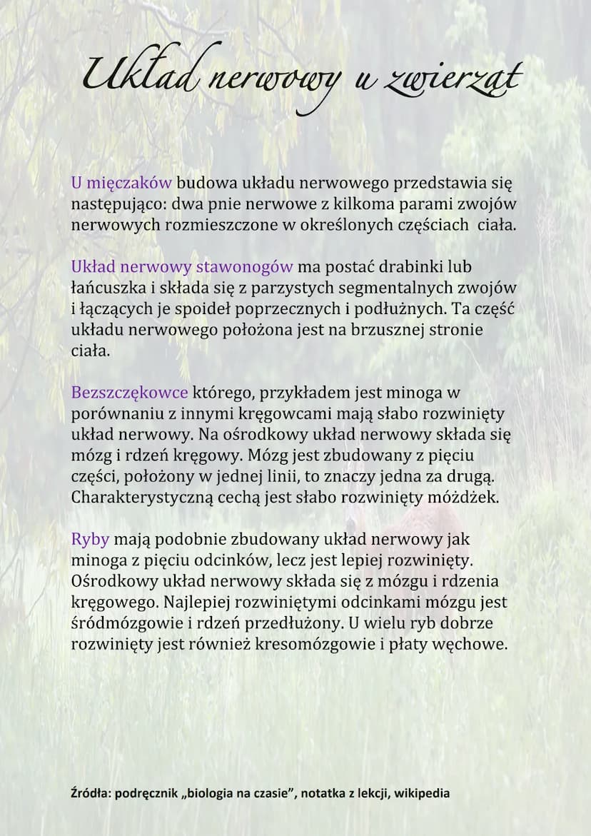 Układ nerwowy u zwierzat
Układ nerwowy to zespół narządów zbudowanych z tkanki
nerwowej, odbiera i sprawnie reaguje na bodźce ze
środowiska 