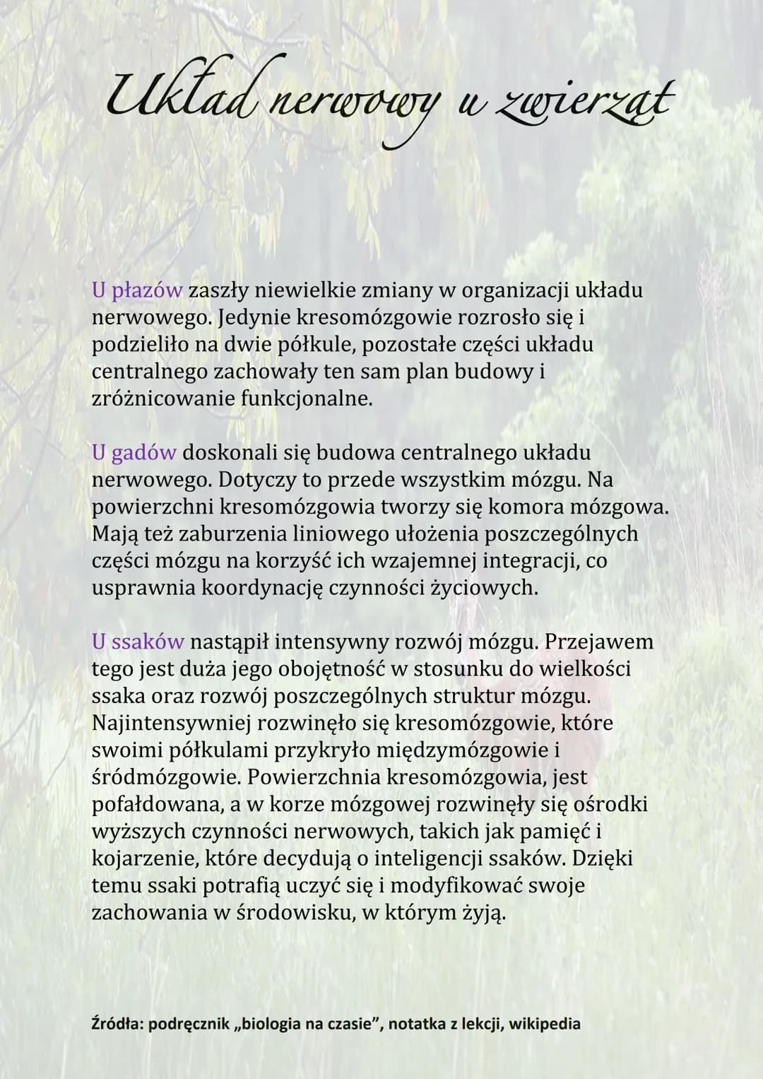 Układ nerwowy u zwierzat
Układ nerwowy to zespół narządów zbudowanych z tkanki
nerwowej, odbiera i sprawnie reaguje na bodźce ze
środowiska 
