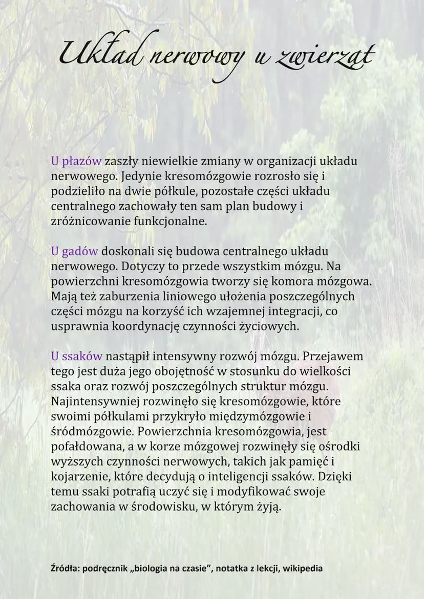 Układ nerwowy u zwierzat
Układ nerwowy to zespół narządów zbudowanych z tkanki
nerwowej, odbiera i sprawnie reaguje na bodźce ze
środowiska 