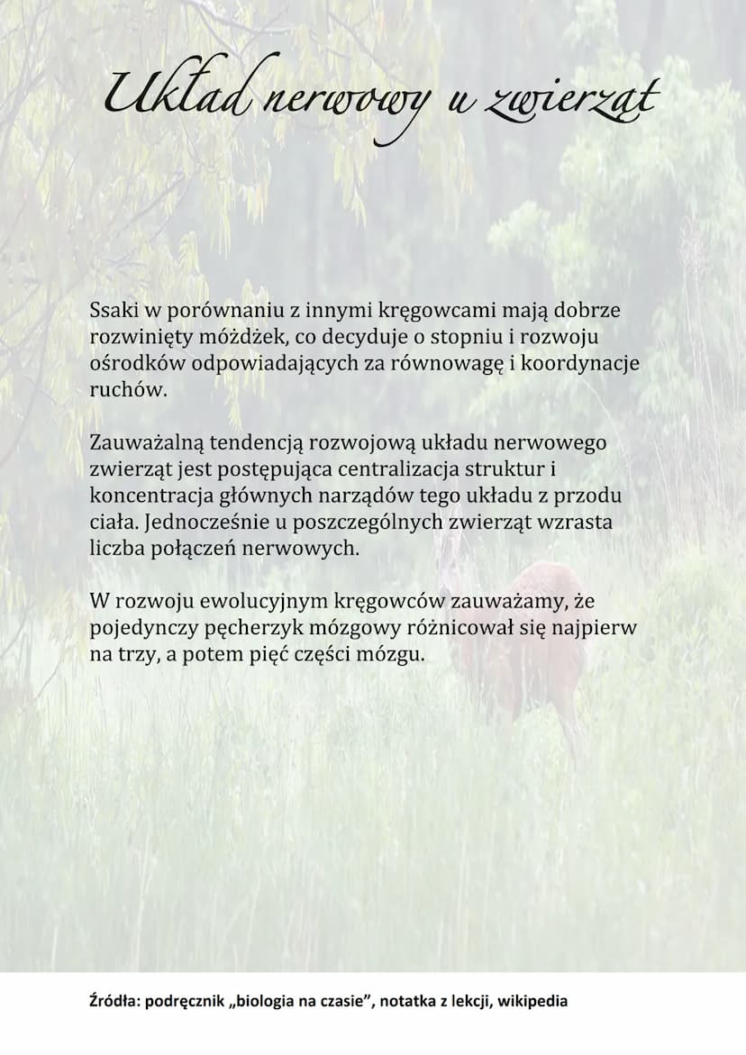Układ nerwowy u zwierzat
Układ nerwowy to zespół narządów zbudowanych z tkanki
nerwowej, odbiera i sprawnie reaguje na bodźce ze
środowiska 