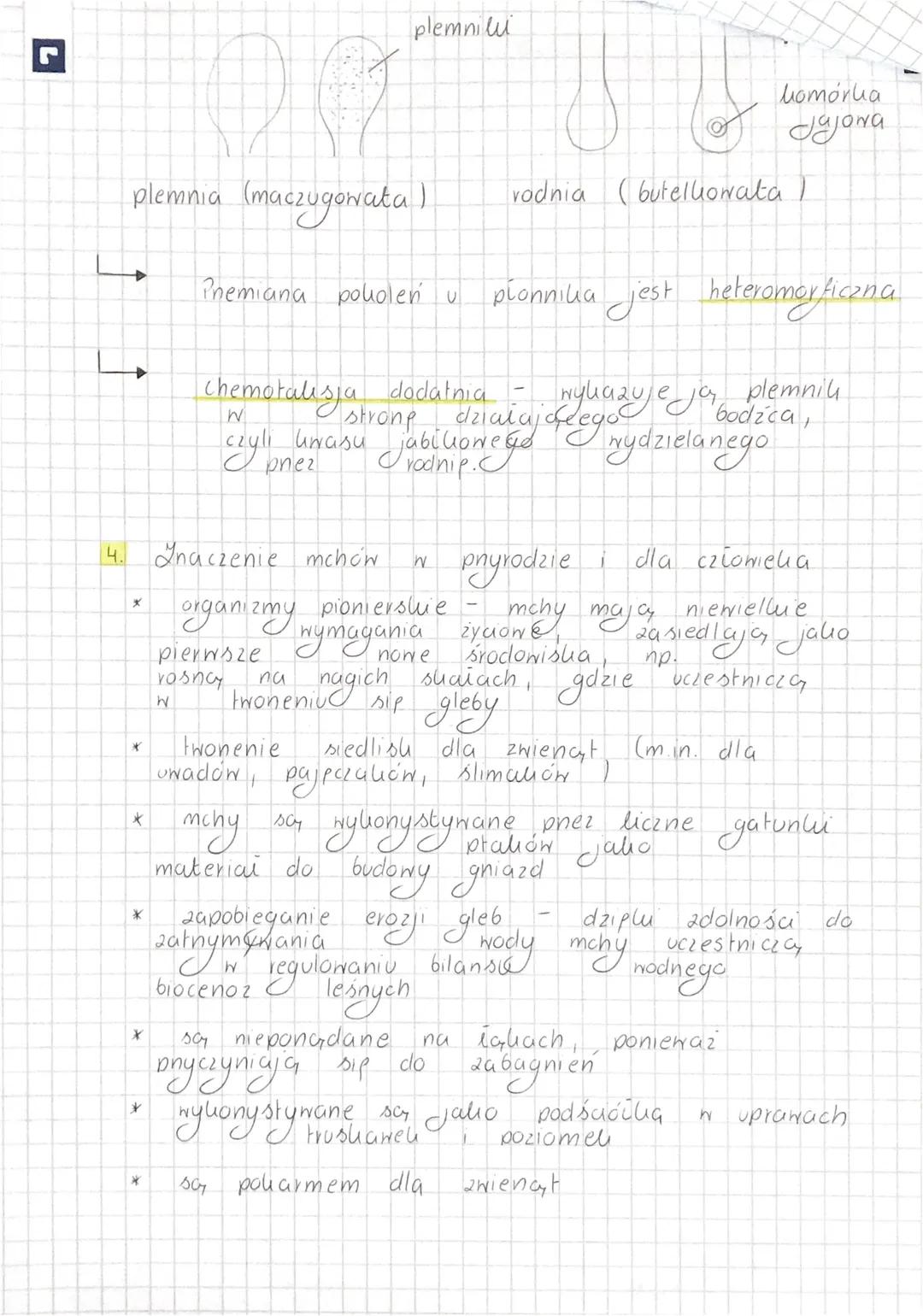 rośliny 0
dominującym gametoficie.
1. Poholeniem dominujacym & mozaliów jest gametofit,
ponieważ
jest samozyning
(oneprowadza fotosyntezp),
