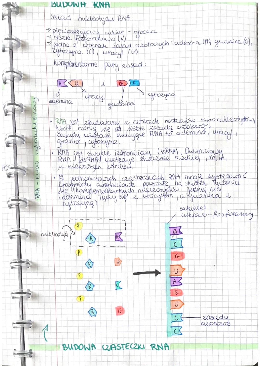 KLASA IV
Lekya
#03 2023 Temat: Budowa woda kwasow nukleinowych

1. Budowa DNA
a) budowa nukleotydu
b) wiązania chemiczne w ONA
gu
c) budowa 