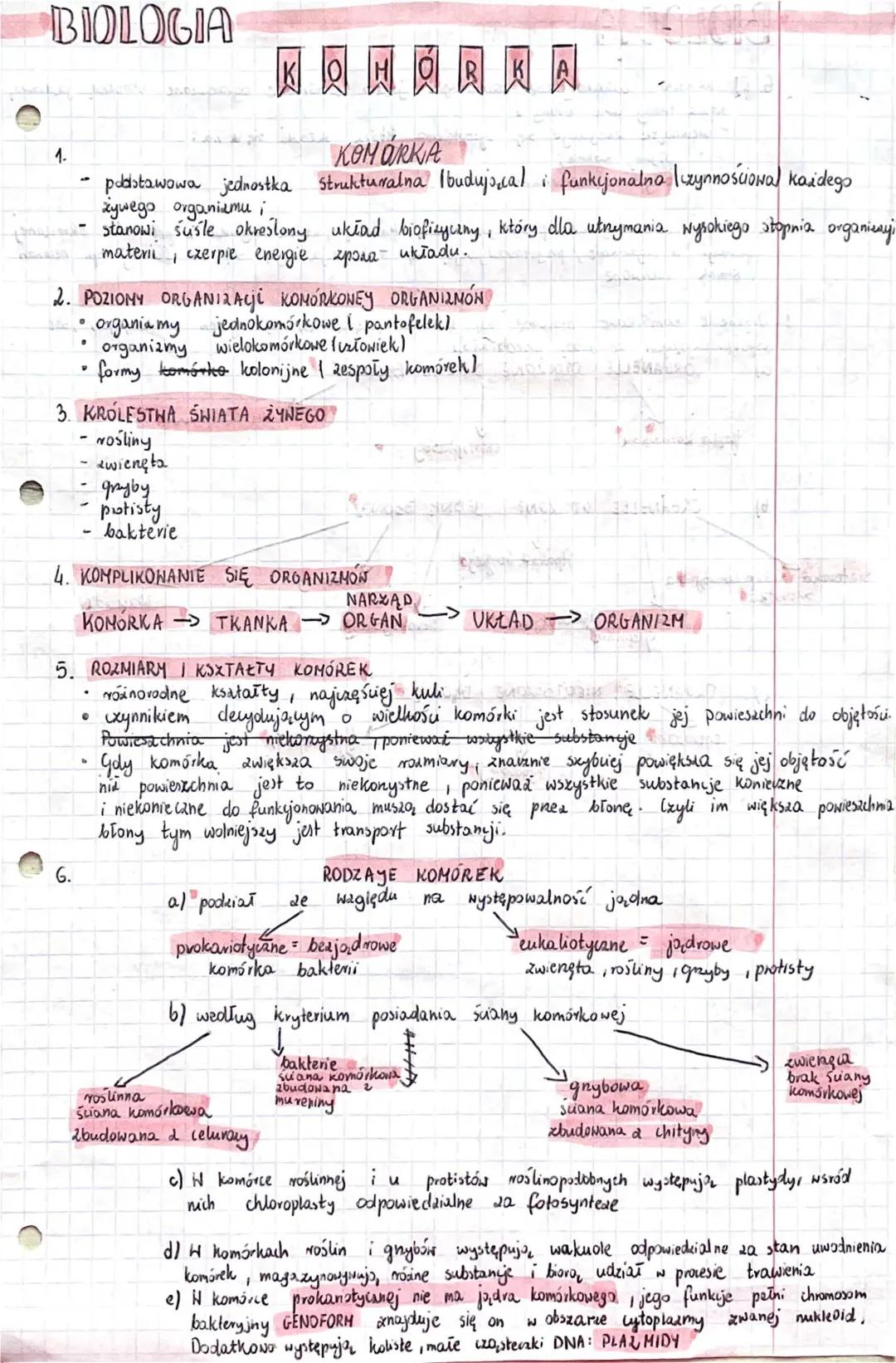 Notatki z Biologii Rozszerzonej: Budowa Komórek PDF za Darmo