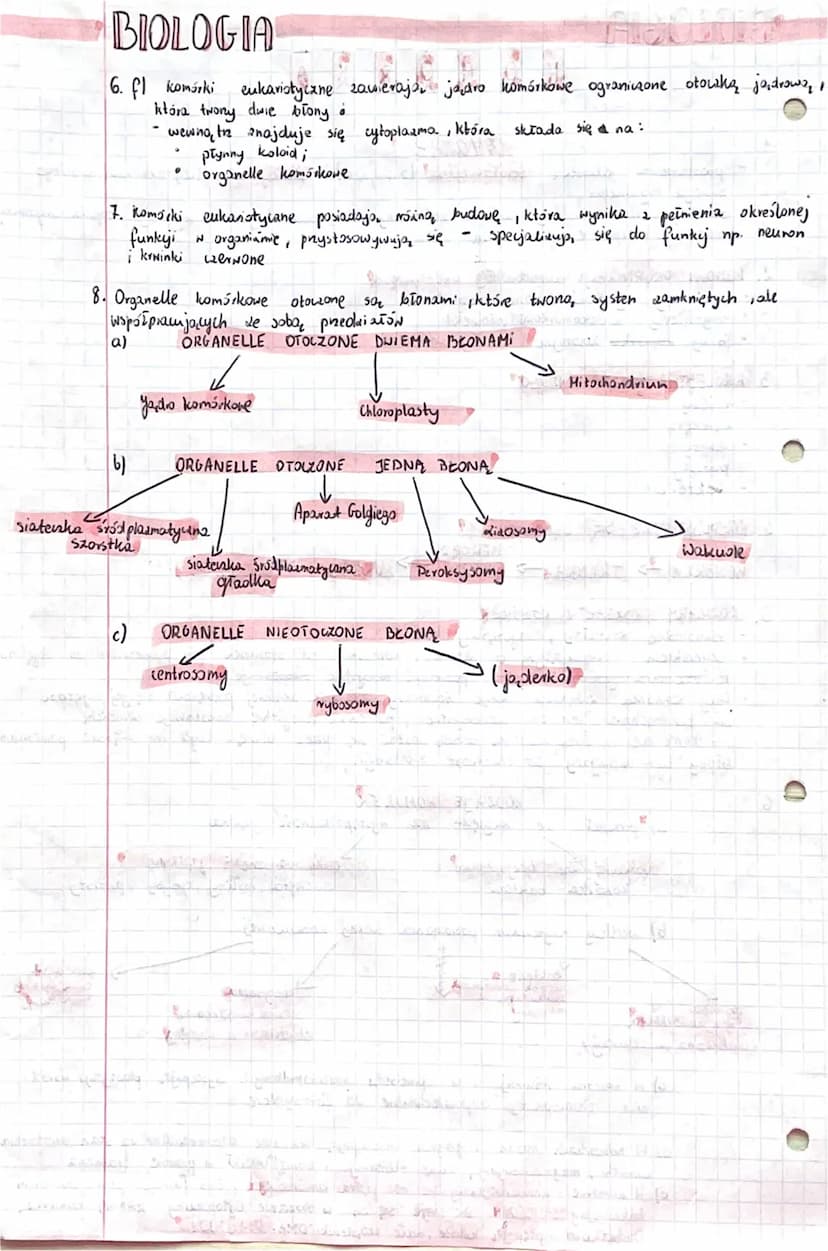 BIOLOGIA
1.
2. POZIOMY ORGANIZACji KOMÓRKONEY ORGANIZMÓN
jednokomórkowe i pantofelek)
wielokomórkowe (złowiek)
organia my
organizmy
formy ko